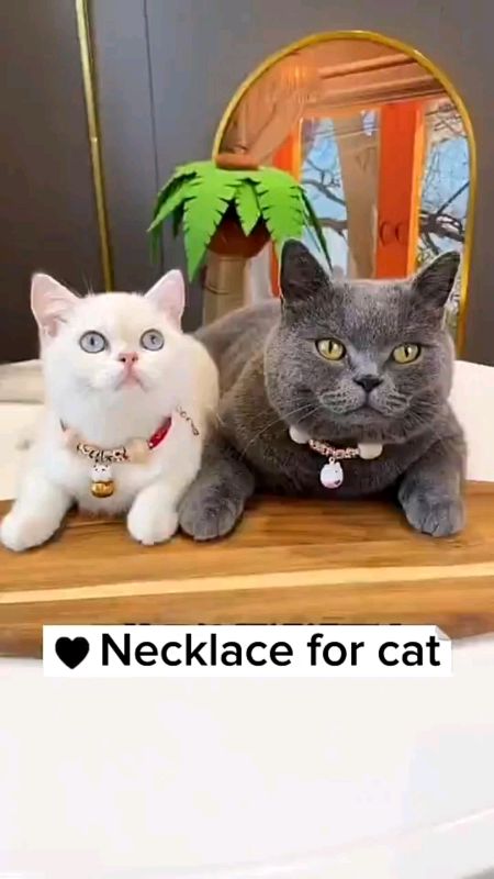 #stitch with eleinezclips Pet Collar Dog Neck Ring with Bell