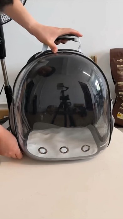 cat pet bag carrier travel #cat #pet #carrier #travel #bag #backpack #trend #viral #furmom #animal #MasMuraSaShopeeVideo