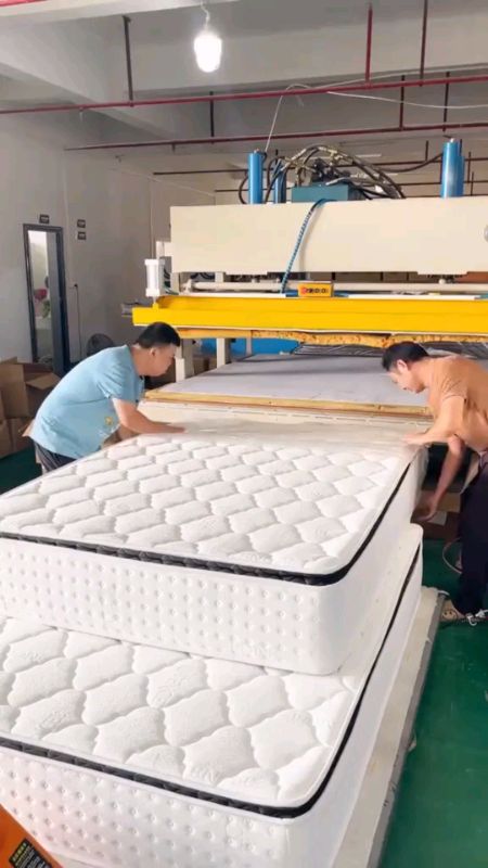 #foam#foammattress#mattress#shopeeph