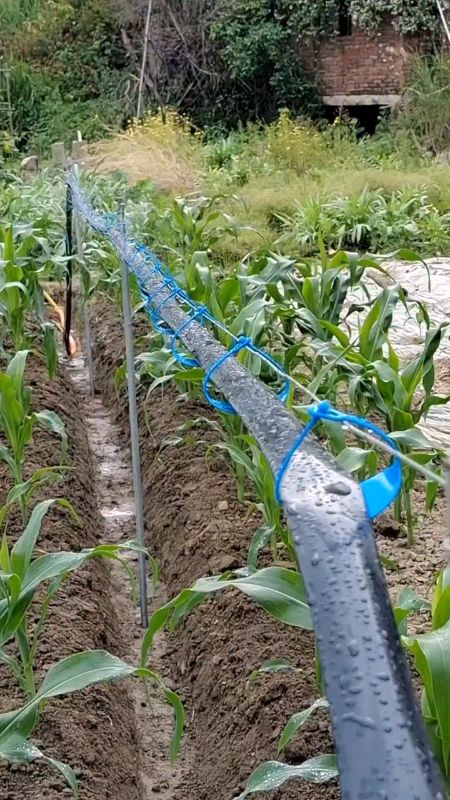 ✅Soaking Hose drip irrigation #FreeCoinsInShopeeVideo #MasMuraSaShopee #freeshipping #affiliate #irrigationhose #hosedrip #hose #gardenhose