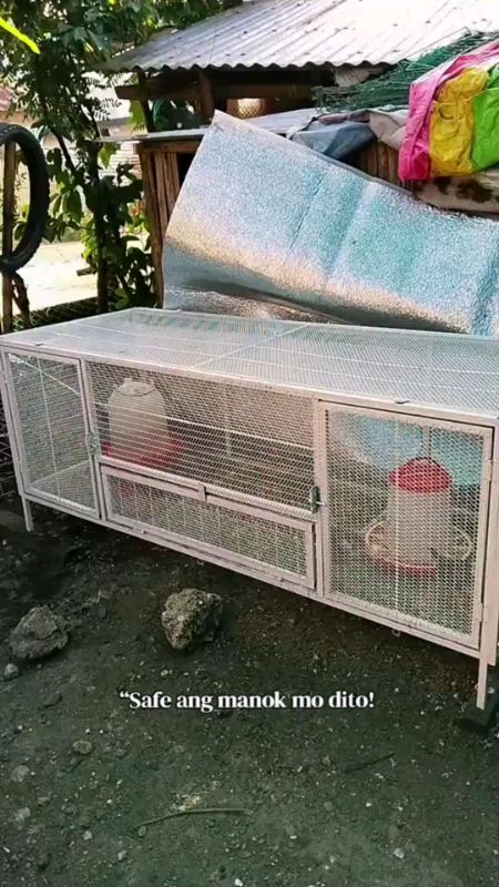Heavy Duty Chicken Cage with Feeding Door | Anti Snake & Rat | Outdoor Poultry Coop