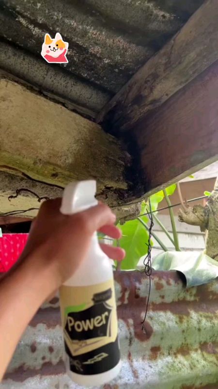 #TermiteKillerSpray #Trending #MasMuraSaShopee #FreeCoinsInShopeeVideo #HugotSaShopee