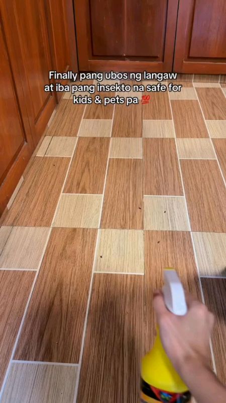 #flykillerspray #killerspray #indooruse #nontoxic #pestrepellent #safe #insecticidespray #flyspray #MasMuraSaShopee #FREECOINSINSHOPEE #insectspray