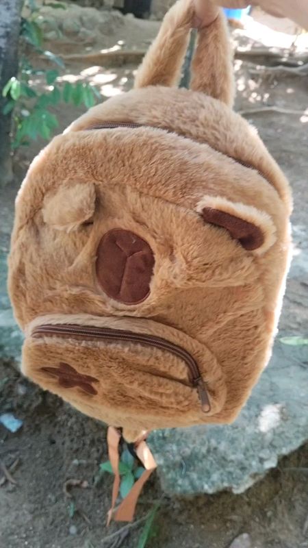 Capybara Backpack ,kasya libro , Notebook,payong ,wallet#backpack #bag#women #kids