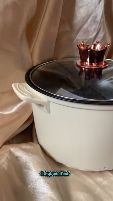 Dreepor Multifunctional Electric Cooker #MasMuraSaShopee #shopee #shopnow #shybudolfinds #dreepor #electric #cooker #ricecooker #electriccooker
