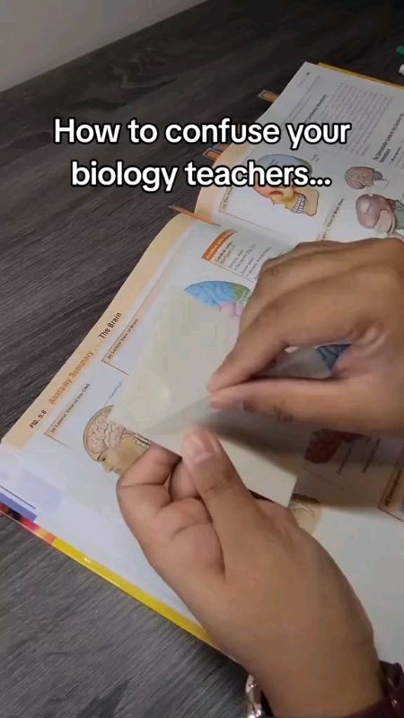 transparent sticky notes#transparent#note