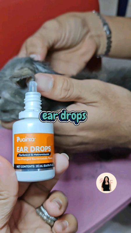 pet ear drops #xtracomission #gaytupino #eunsun #MasMuraSaShopee #peteardrops #puainta #puaintaeardrops