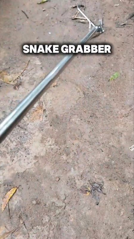 #Stainless#Steel#Snake#Tongs#Reptile#Grabber#Catcher#Wide#Jaw#Snake#Control#Pilers#Tool#CheckoutNaMasMuraDitoSaShopee #