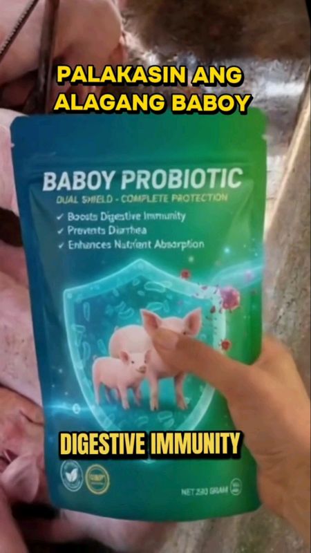 #FreeCoinsInShopeeVideo #ShopeePHPaydaySale #MasMuraSaShopee #HugotSaShopee #shopeeFamily(Buy 1 Free 2) BABOY PROBIOTIC For Pigs 250g Pig Feed Additi