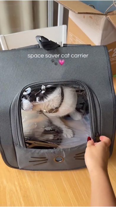 #carrier #petcarrier #carrierbag #paydaysale #payday #fyp #foryoupage #foryou #shopee #masmurasashope #SalamatShopee #shopeecoins #catdog #breathable