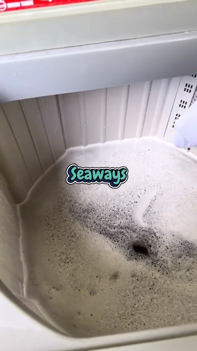 ￼Seaways Liquid Washing Machine Cleaner Mold-resistant Mite remover No soaking Required Anti-bacterial #FreeCoinsInShopeeVideo #MasMuraSaShopee