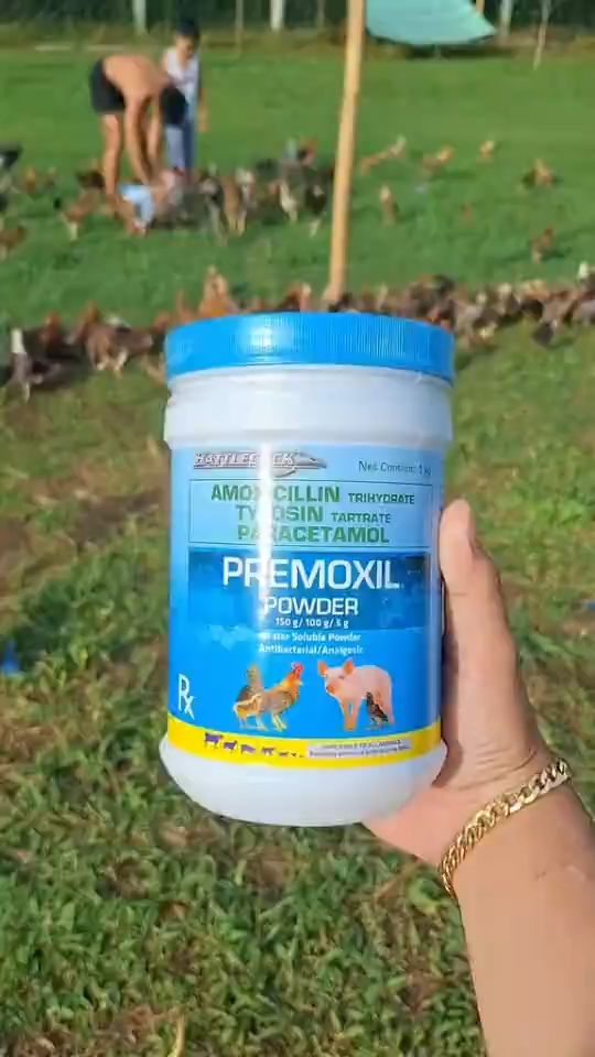 Premoxil Power Original 1Kilo #premoxil #premoxil1kg #premoxilpower #premoxilpower1kilo